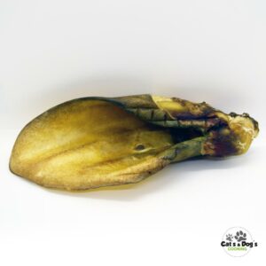 Oreille de bœuf nature