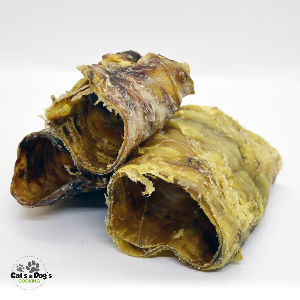 Trachée de bœuf entière – Image 3