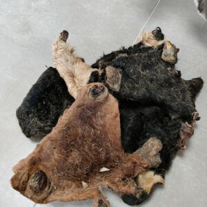 Plaques de peau avec poils