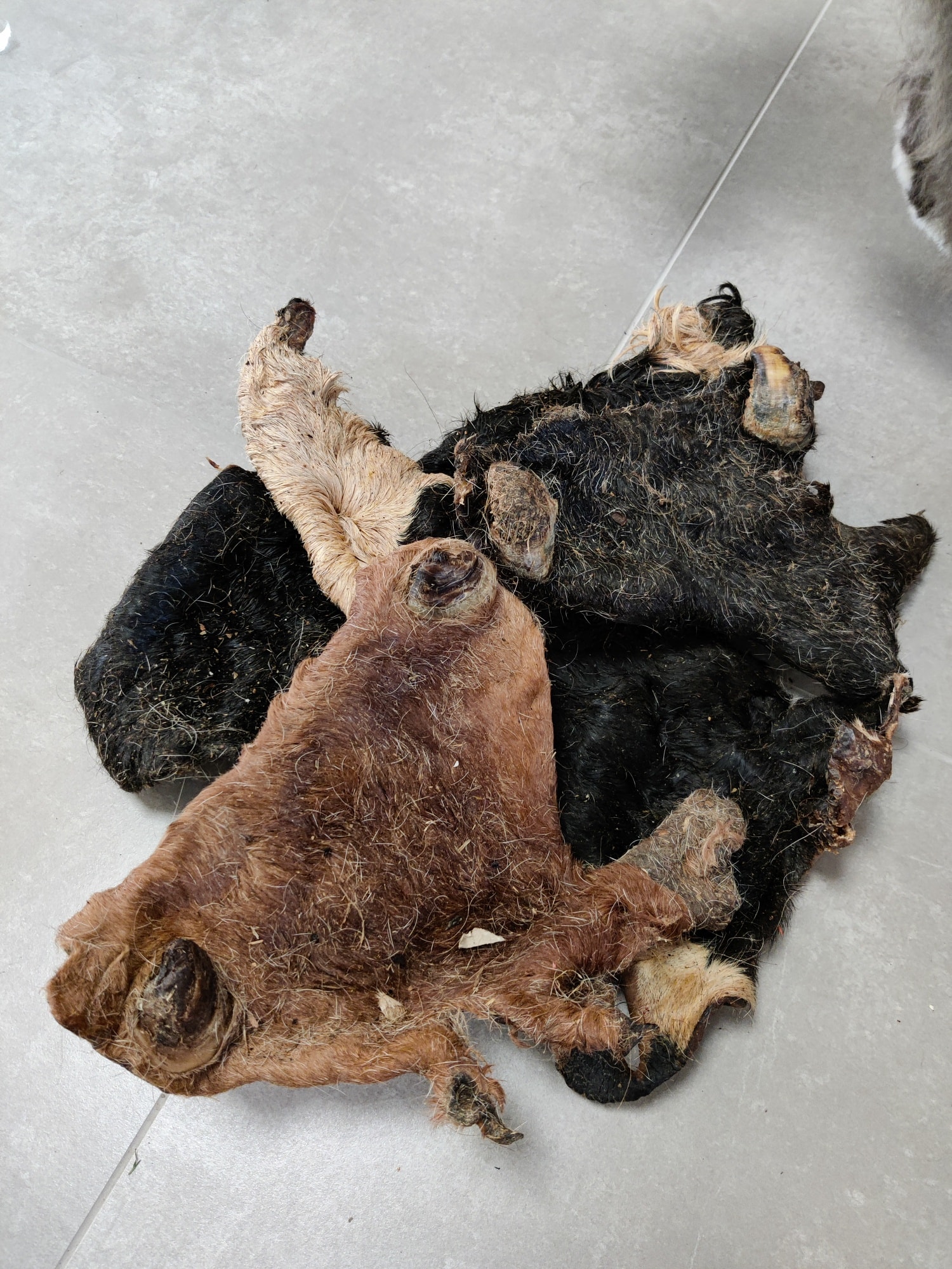 Plaques de peau avec poils