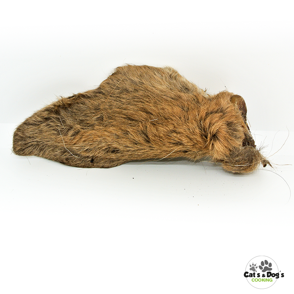 Oreille de cerf avec poils – Image 3