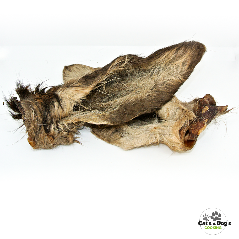 Oreilles de cerf + poils