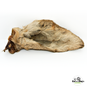 Oreille de cerf avec poils